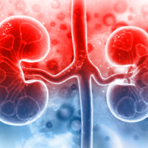 Renal / Kidney Related Diseases