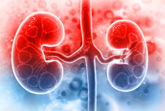 Renal / Kidney Related Diseases