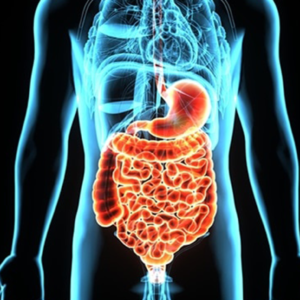 Gastrointestinal Disorders