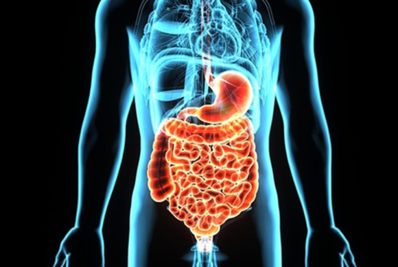Gastrointestinal Disorders