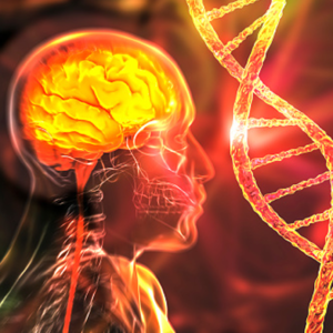 Nervous System Disorders