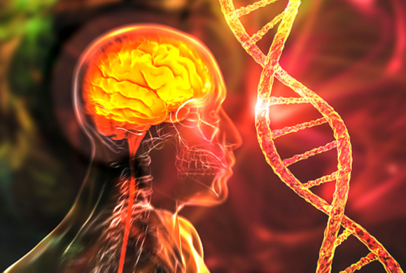 Nervous System Disorders